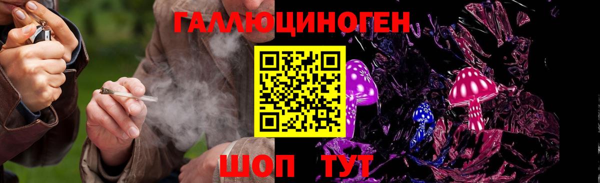 закладка  Вход с VPN  Псилоцибиновые грибы Magic Shrooms  Тобольск  Галлюциногенные грибы Psilocybe 